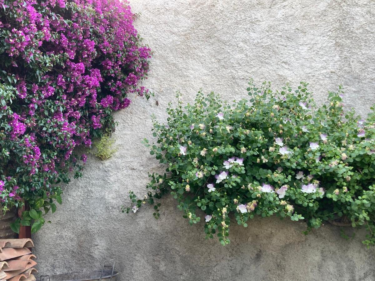 Bed and Breakfast L'Antico Borgo Milazzo Exterior foto