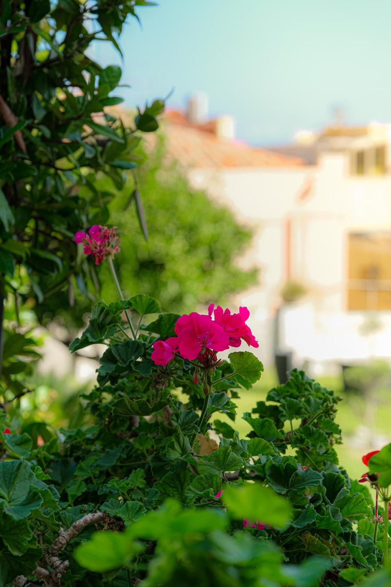 Bed and Breakfast L'Antico Borgo Milazzo Exterior foto